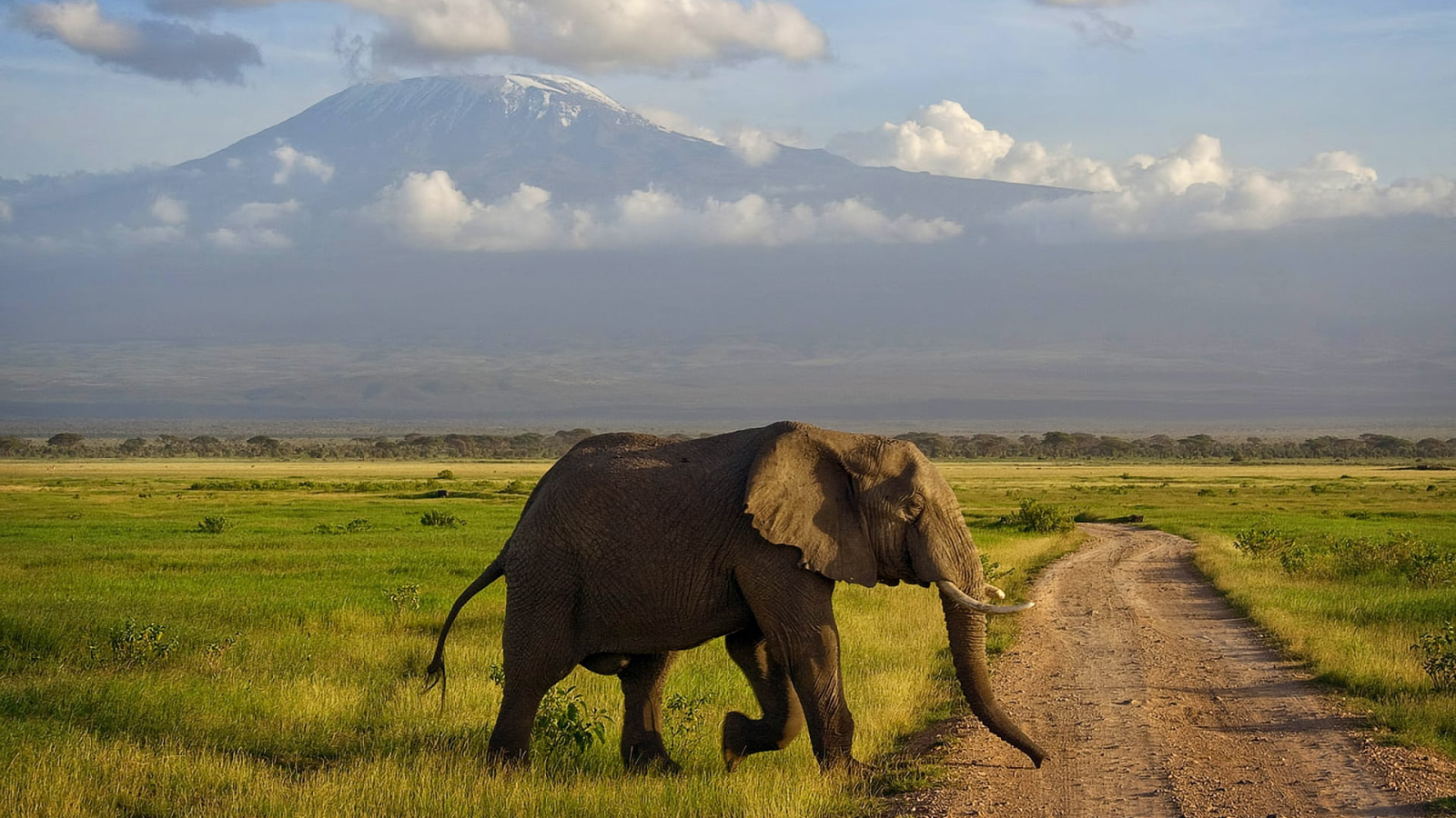 Luxury Accommodation Tanzania